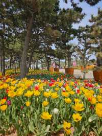 Kkotji Shoreline Park 