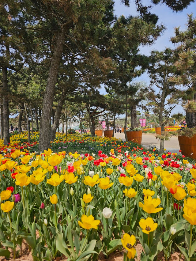 Kkotji Shoreline Park 