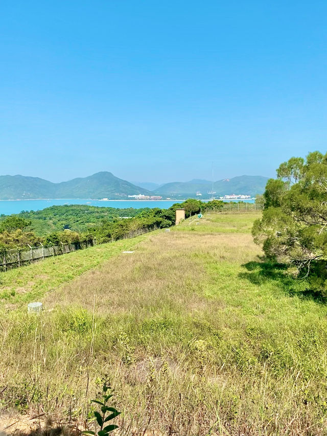 【坪洲】平靜輕鬆的小島一日遊