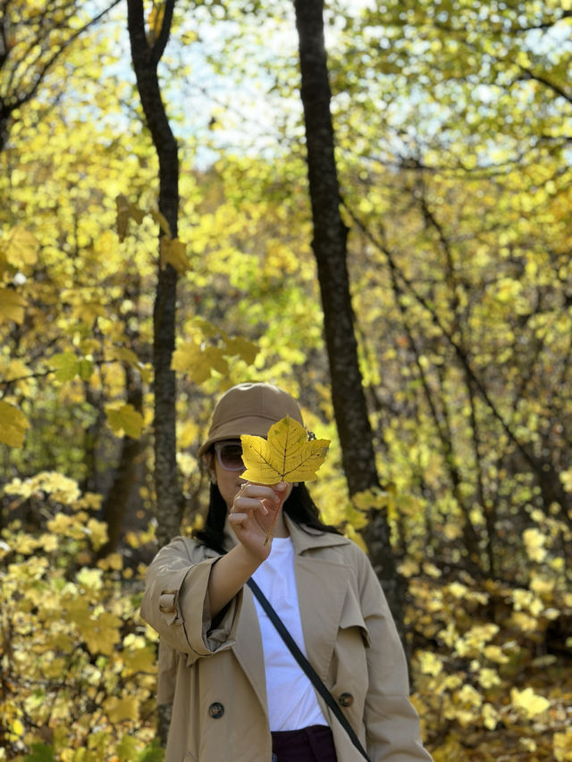 5 instagrammable photo spot at Arrowtown