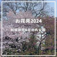 桜鑑賞【新宿御苑and北の丸公園】