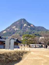 정통의 미가 가득한 경복궁 데이트🌸