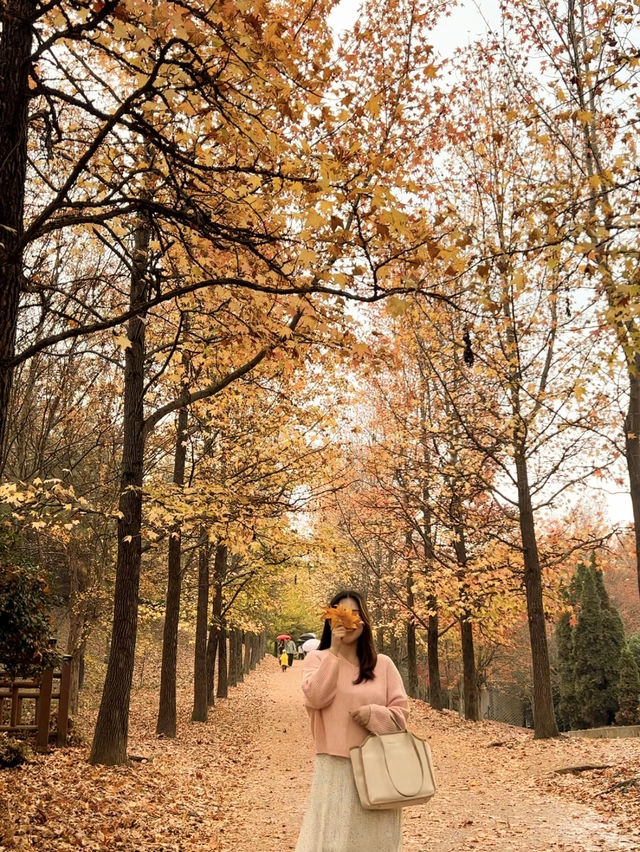 힐링도시 대표주자가 진주인 이유 🧡