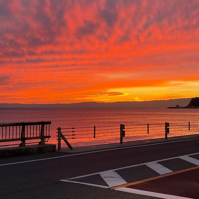 逗子海岸：夕陽美景、自然生態，絕對值得一遊