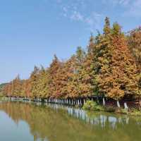 後灘濕地公園:自然王國