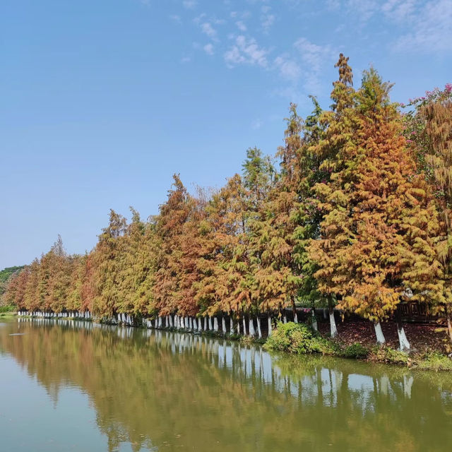 後灘濕地公園:自然王國 後灘濕地公園:自然王國