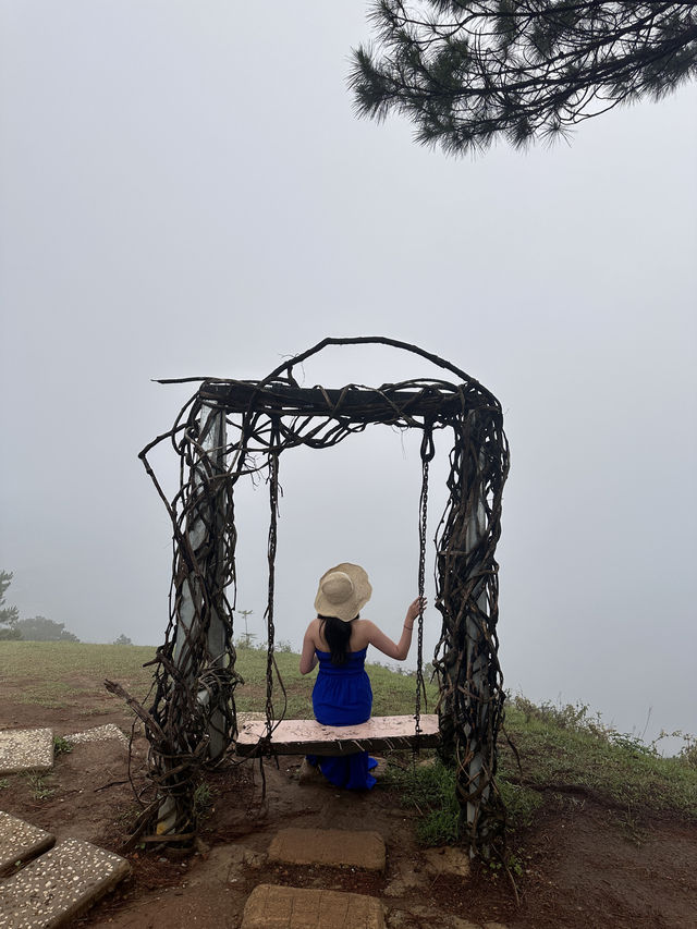 달랏에서 빼놓을 수 없는 인생샷명소 랑비앙산 ⛰️