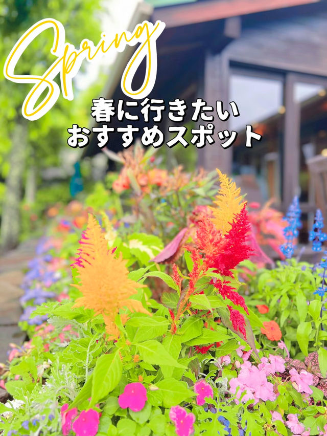 【千葉】無料!!春に行きたいおすすめスポット🌼