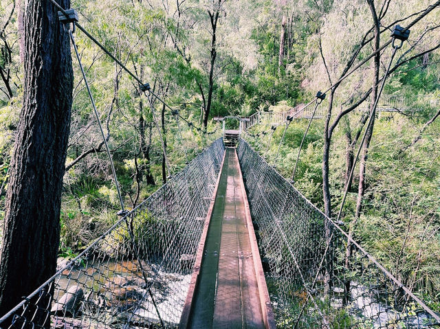 Beedelup Falls