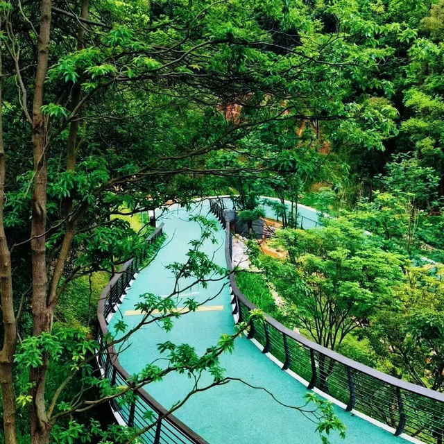 臺北象山步道：城市中的自然寧靜，俯瞰高樓大廈與綠意盎然的獨特景緻