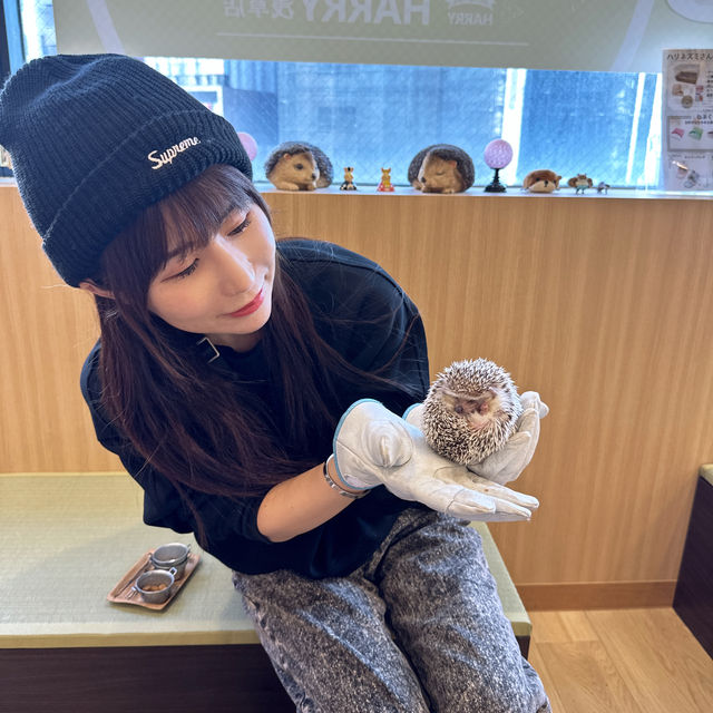 【東京】とっても可愛い癒しスポット！
