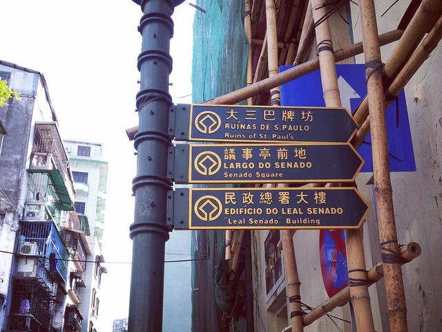 春季郊游路線：澳門必到大炮台花園