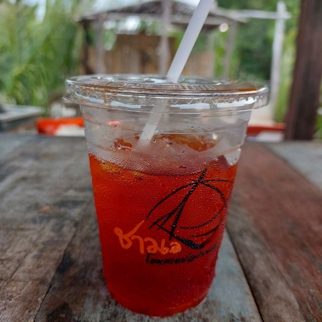 ชาวเลโฮมสเตย์@ปากพนัง และ Cafe ในป่า