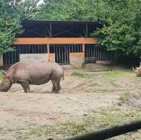 Taiping Zoo and Night Safari