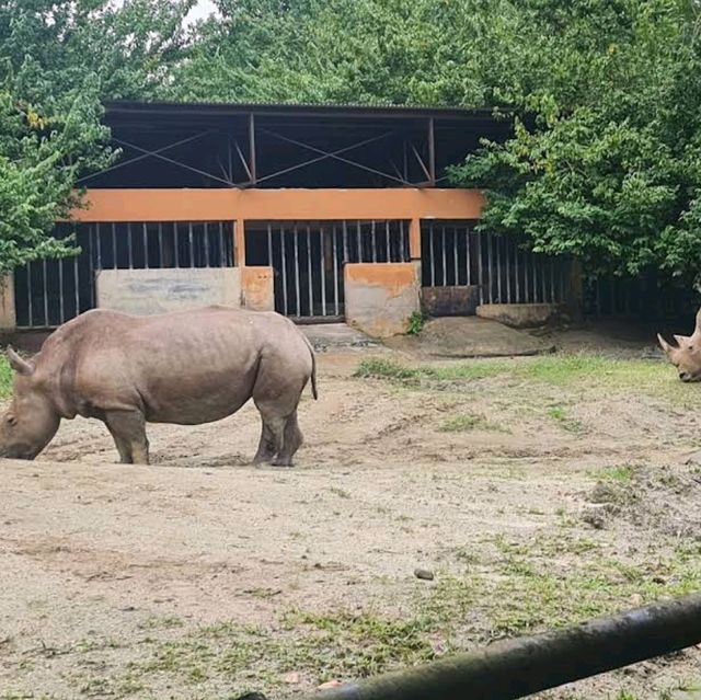 Taiping Zoo and Night Safari