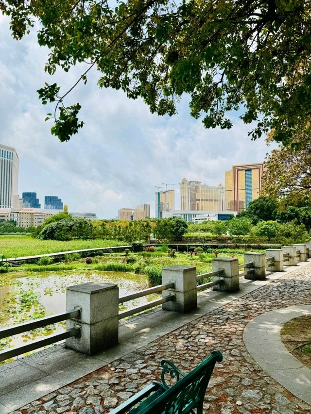 Wetland in Avenida da Praia, Taipa