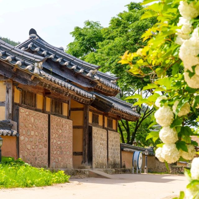 영주 선비촌에는 특별한 상회가 열린다? 주말 공휴일에 열리는 선비상회!