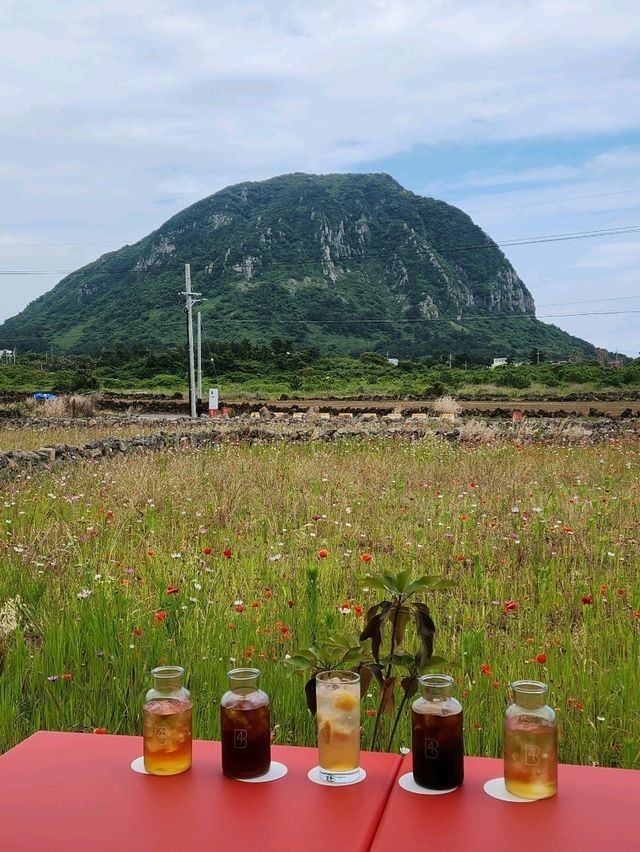 산방산뷰와 꽃밭으로 힐링하는 대형카페 포비 제주점