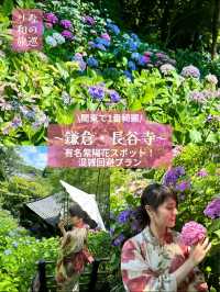 〜神奈川県〜人気紫陽花スポット！混雑回避プラン
