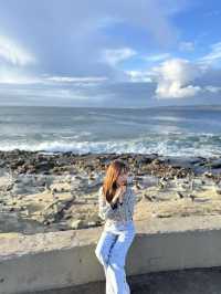 【LA聖地亞哥】La Jolla Cove：海豹海獅近距離觀賞，適合白天遊玩！