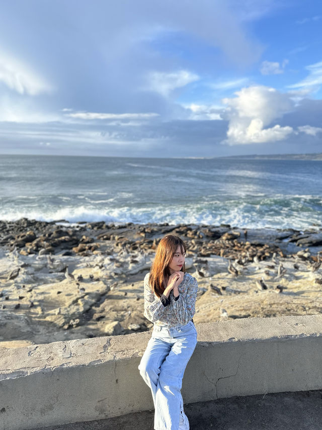 【LA聖地亞哥】La Jolla Cove：海豹海獅近距離觀賞，適合白天遊玩！