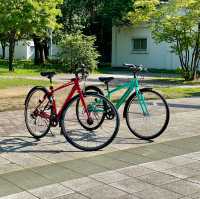 Serene Strolls at Hokkaido University
