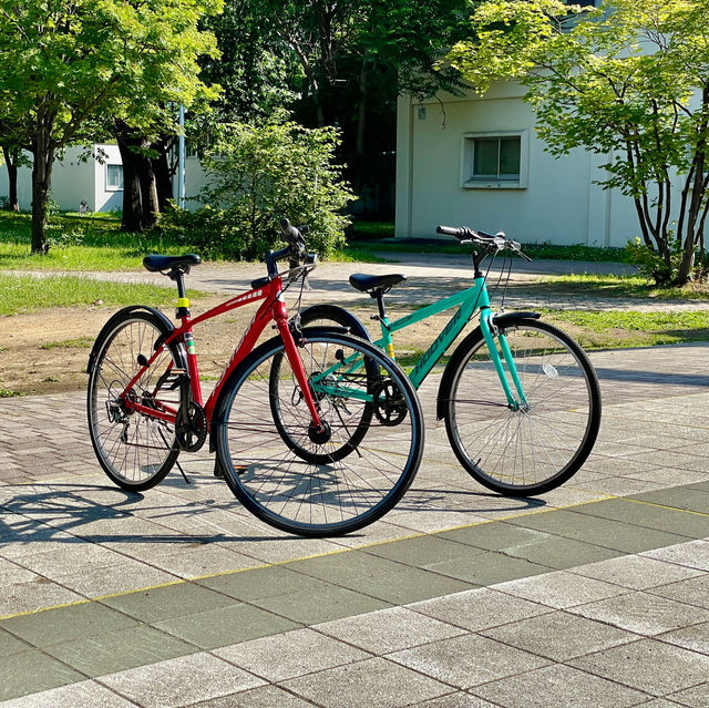Serene Strolls at Hokkaido University