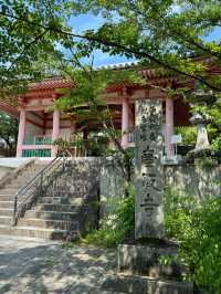 【奈良】桜の名所は新緑も美しい