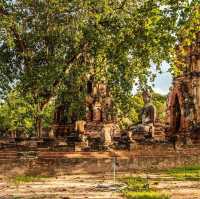 ที่พักวิวมรดกโลกแบบสุดจึ้ง