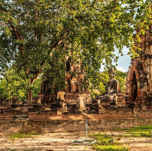ที่พักวิวมรดกโลกแบบสุดจึ้ง