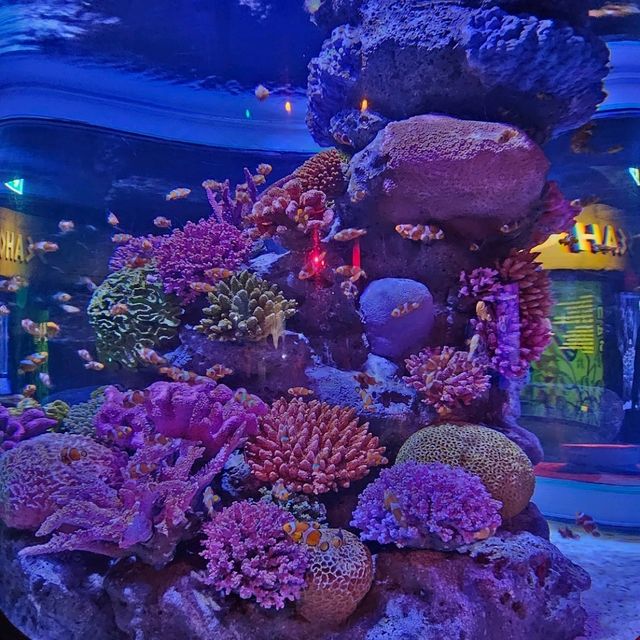 Sea Life  Bangkok
