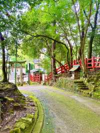 〜京都府〜混まない！初夏の夏詣におすすめ神社⛩️