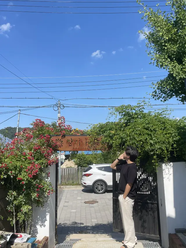 Chungcheong-do Cheongju, quán cà phê theo phong cách Hanok với hoa cẩm tú cầu và hoa cúc, Hyangginamu Coffee