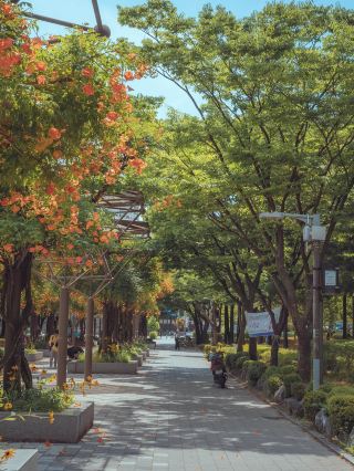 可以漫步於橙紅色凌霄花隧道的「富川中央公園」