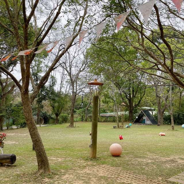 民雄金桔觀光工廠 🖌 品嚐各式金桔🍊製品