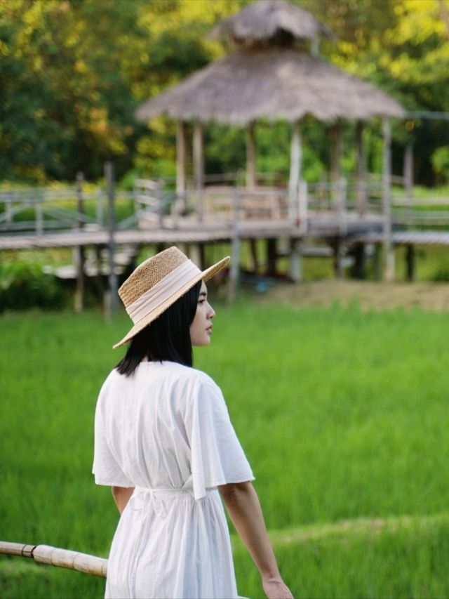 ฮีลใจที่บ้านต้นไม้ "ไร่ต้นรัก" อ.ปัว เมืองน่าน