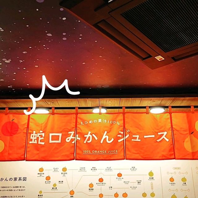 【愛媛】道後温泉