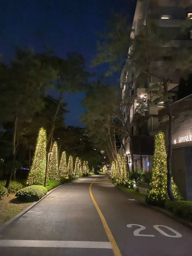 💕파라스파라 서울 호캉스 