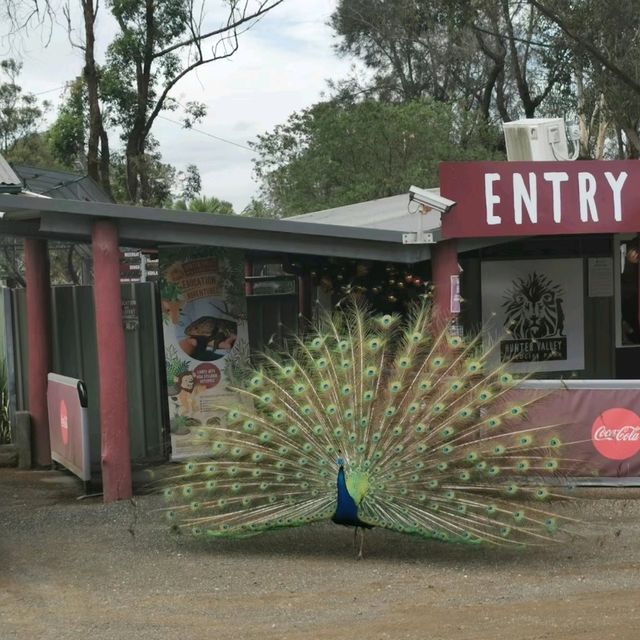 獵人谷野生動物園