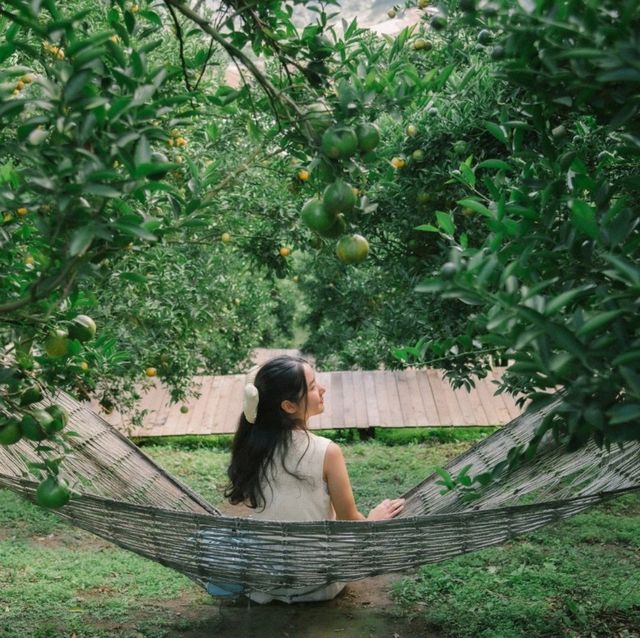 สวนของฉัน My garden 