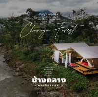 ⛰Chanya Forest Resort ... ช้างกลาง