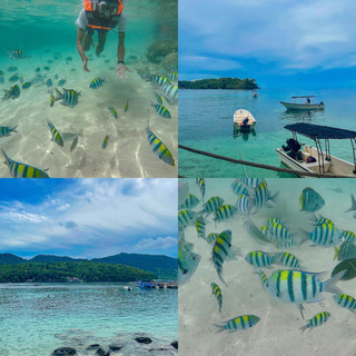 Pulau Rubiah