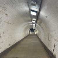 Classic London sightseeing walk 