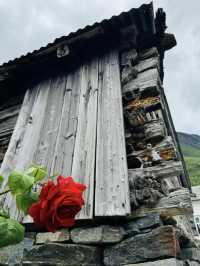 隱身在松恩峽灣(Sognefjorden)深處的挪威迷你小村落Undredal