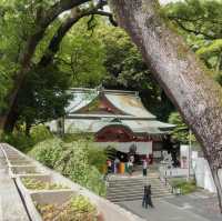 熱海避暑好去處🏖️ 來宮神社尋幽探秘