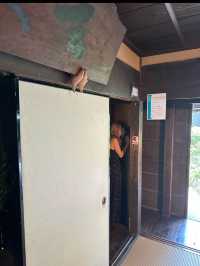 【三重県伊賀市】忍者博物館でからくり屋敷体験🥷