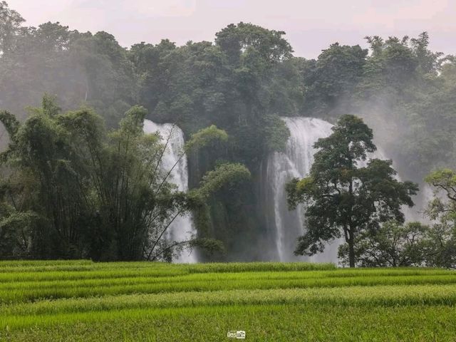 น้ำตกสองแผ่นดิน เวียดนาม-จีน Ban Gioc