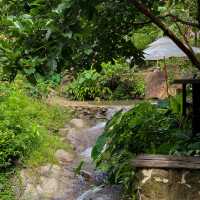 คาเฟ่ภูเก็ต
