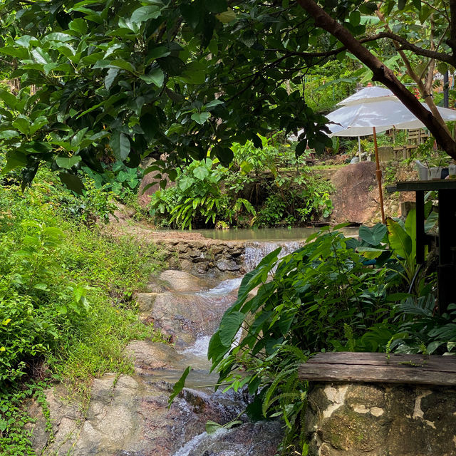 คาเฟ่ภูเก็ต