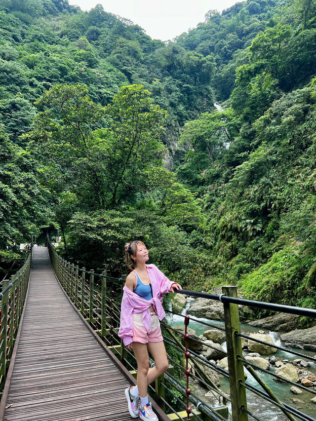 嘉義步道～滿滿芬多精！